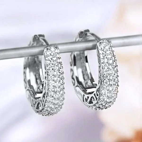 RAKOL Luxury Gold Color CZ Stone Circle Earrings For Women - Image 5