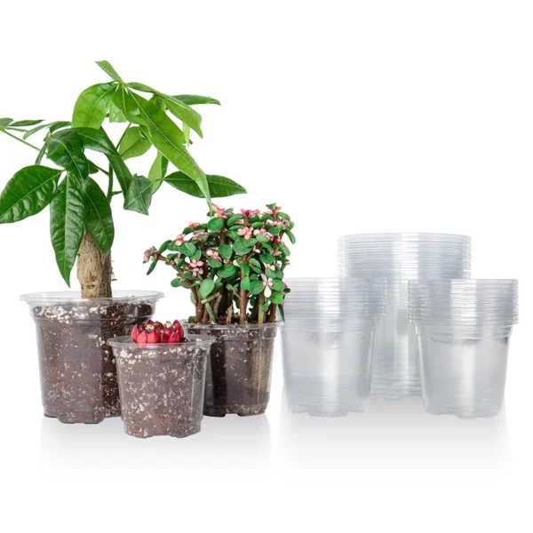 30 Packs 3.5/4/5 Inch Clear Nursery Pots