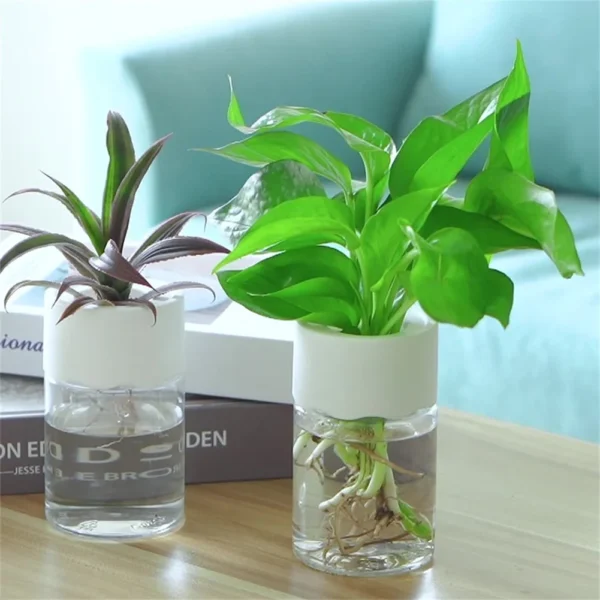 Mini Hydroponic Flower Pot Transparent Imitation Glass Soilless Plant Pots - Image 4