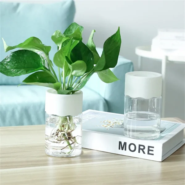 Mini Hydroponic Flower Pot Transparent Imitation Glass Soilless Plant Pots - Image 2