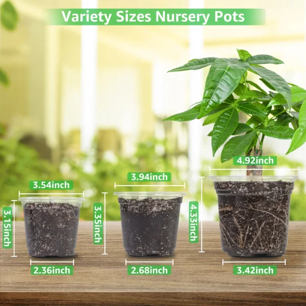 30 Packs 3.5/4/5 Inch Clear Nursery Pots - Image 6