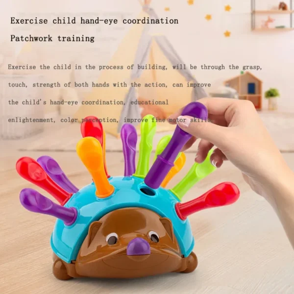 Early Education Toys Fine Motor and Sensory Toys Spelling Little Hedgehog - Image 2