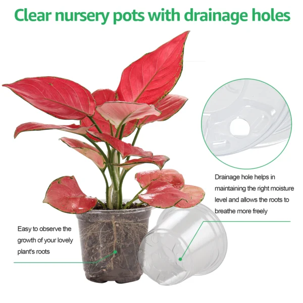 30 Packs 3.5/4/5 Inch Clear Nursery Pots - Image 3