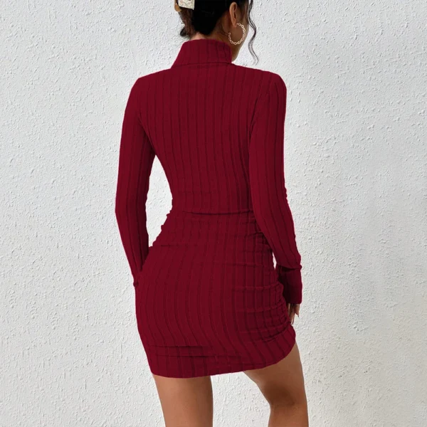 Women's Elegant Sexy Dress Autumn and Winter 2024 Burgundy Simple Style Turtleneck Short Slim New Fashion - Image 2